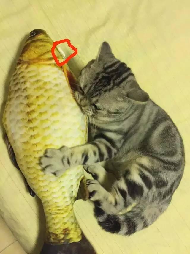 “3377官网”
我市代表队在潍坊市中暮年羽毛球、气排球角逐中获佳绩(图2) 3377体育