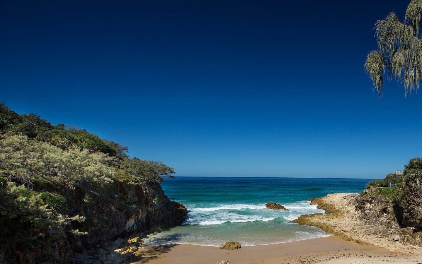 3377体育|第五人格宿伞之魂 第五人格宿伞之魂技能介绍(图4) 3377体育|第五人格宿伞之魂 第五人格宿伞之魂技能介绍(图4)