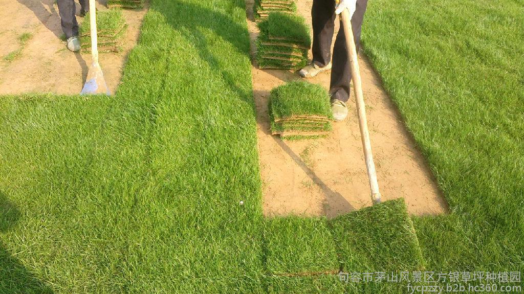 【3377体育】锡业股份:克服重重困难 全力确保供货(图2) 【3377体育】锡业股份:克服重重困难 全力确保供货(图2)