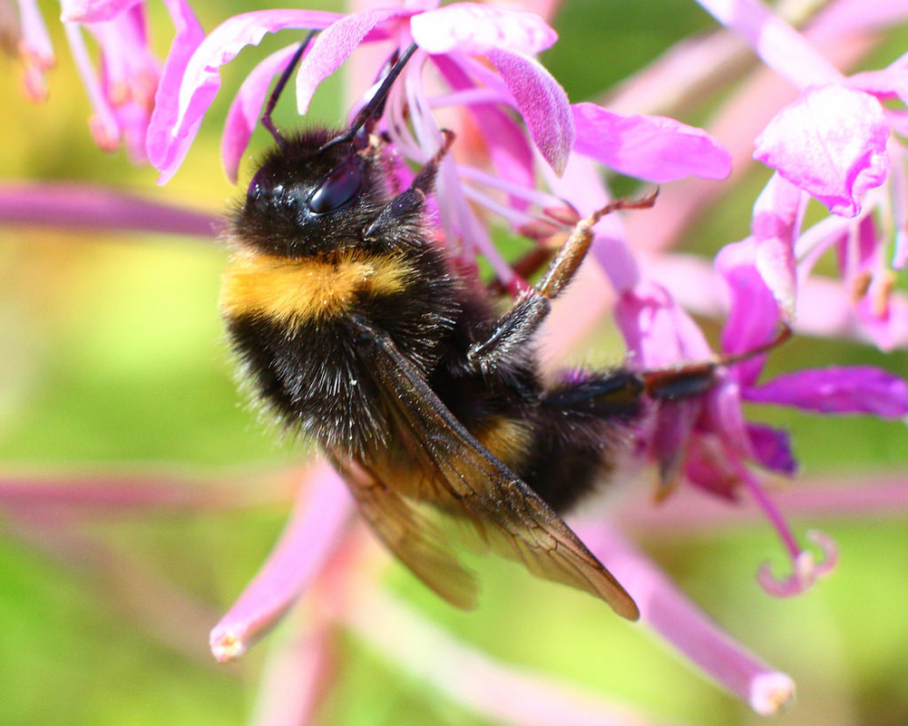 【3377官网】
谈体毛级越位!董路:足球正在变得像娘们儿一样琐屑较量 特没劲(图3) 【3377官网】
谈体毛级越位!董路:足球正在变得像娘们儿一样琐屑较量 特没劲(图3)