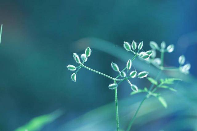 10月1日-3377官网(图5)
10月1日-3377官网(图5)