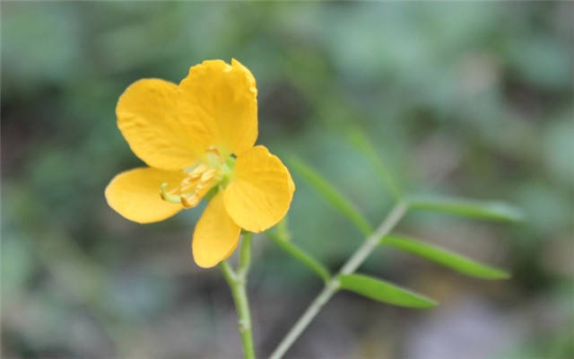 10月1日-3377官网(图7)
10月1日-3377官网(图7)