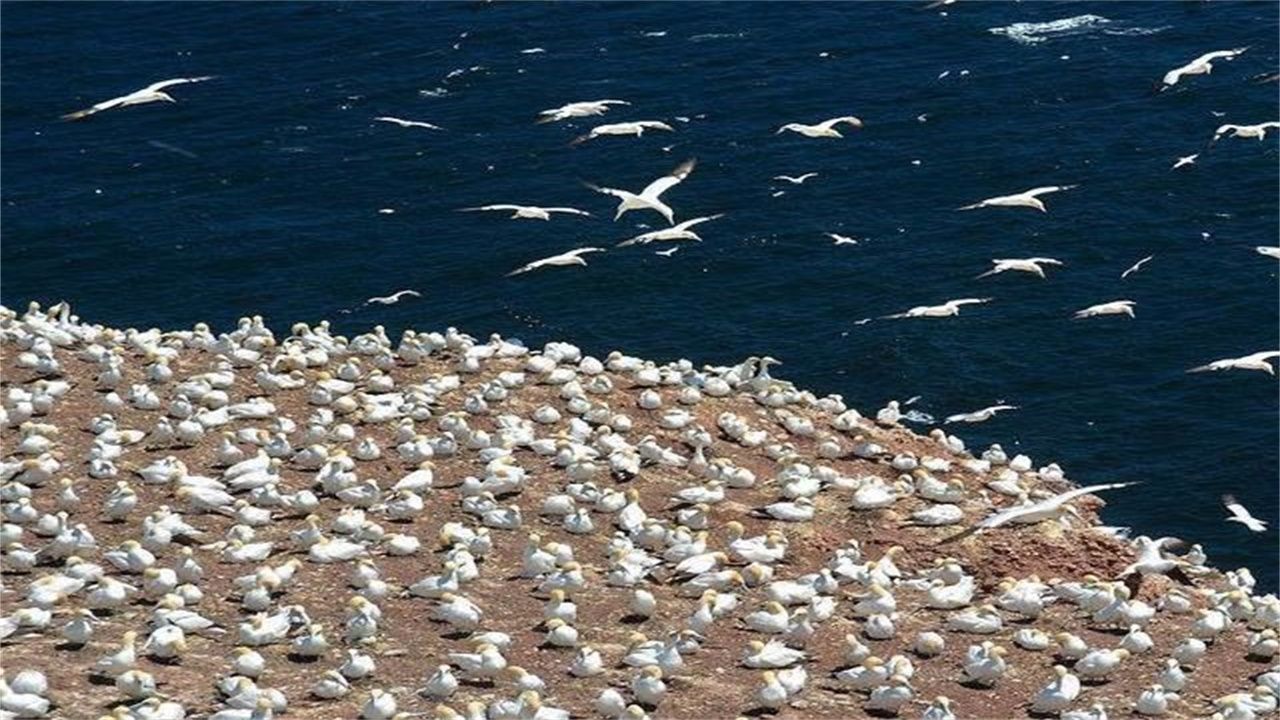 部落冲突夜世界应该如何发展 小R玩家经验长文:3377官网(图1) 3377体育