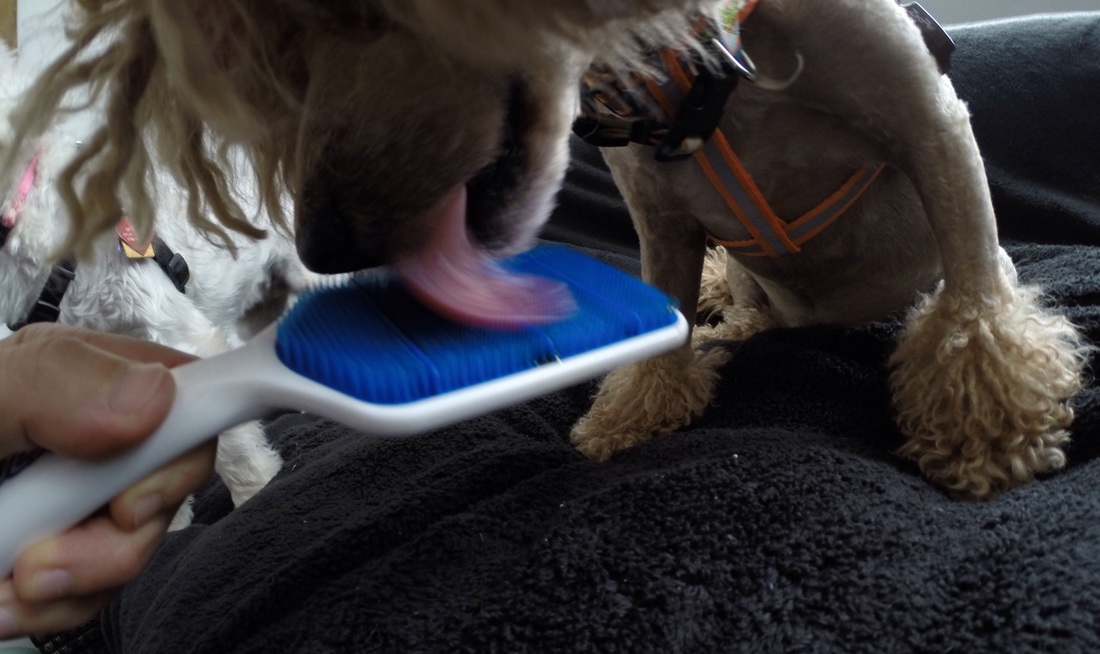 3377体育_国家发展改革委印发利用扩大跨省区电力交易规模等措施降低一般工商业电价的通知(图1) 3377官网