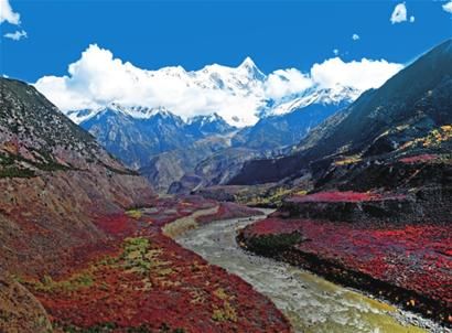 3377app-中国五矿与淡水河谷签署合作协议(图2) 3377官网