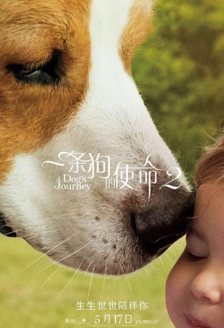 3377体育_堡垒之夜手游尬舞手雷怎么样 堡垒之夜手游尬舞手雷性能分析(图1)