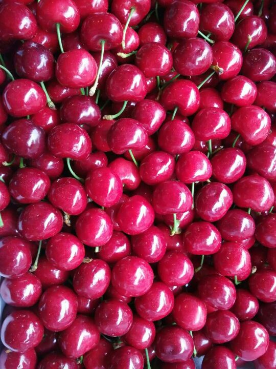 3377官网-中国矿企海外并购机遇期已至(图2) 3377官网-中国矿企海外并购机遇期已至(图2)