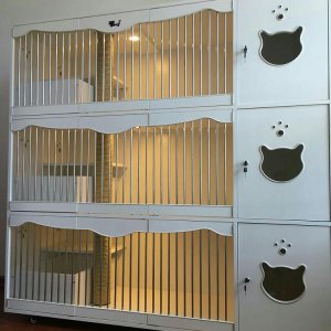 月圆之夜怎么玩 月圆之夜玩法介绍‘3377app’