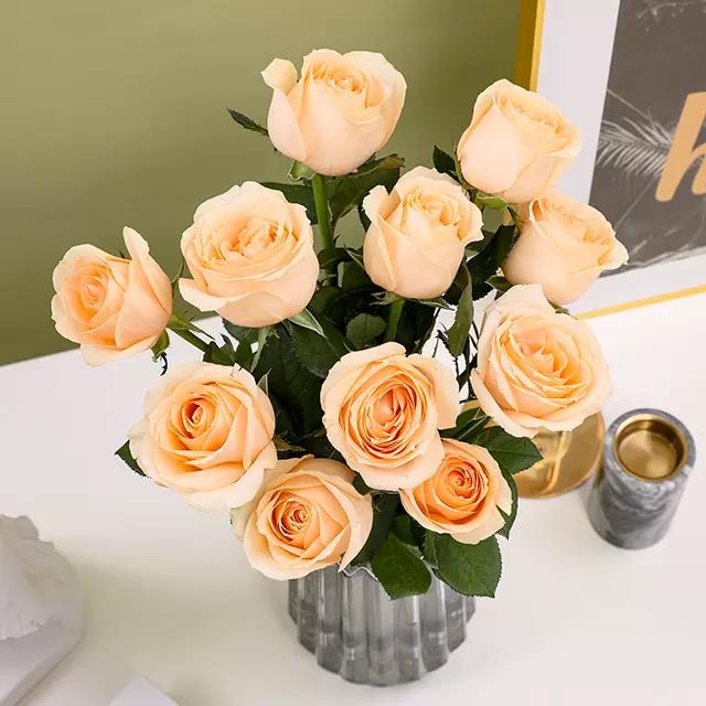 3377app-五矿有色控股召开干部大会 宣布领导班子调整决定(图3)