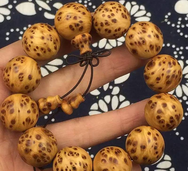 
CCTV5直播泰达VS亚泰 王宝山下必杀令？谭龙领衔青东风暴-3377官网(图4)