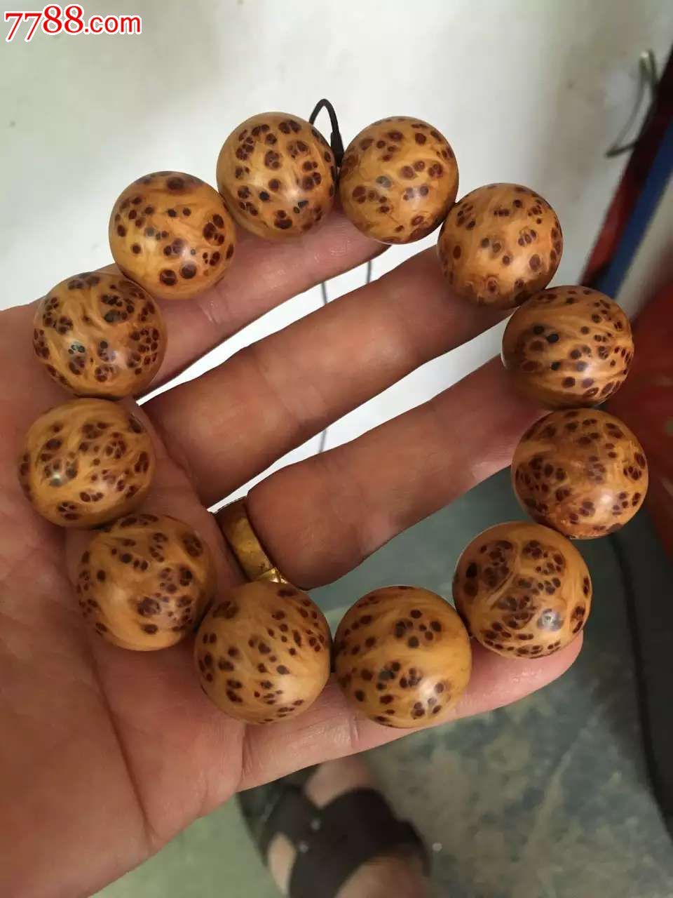 3377app_
CCTV5直播泰达VS亚泰 王宝山下必杀令？谭龙领衔青东风暴(图3)