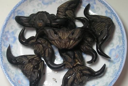 足协官宣陕西递补进入中甲 转会期延长至3月3日 延边球员占名额:3377app(图1) 3377官网