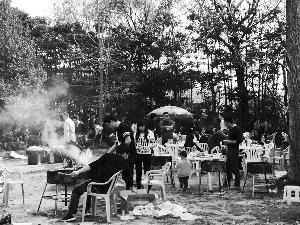 “3377官网”虚荣音速舞司飞云奇袭者皮肤大全(图1) 3377体育