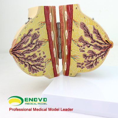 
2020赛季中超最终射手榜助攻榜 巴坎布金靴 韦世豪本土最佳射手：3377官网(图2)